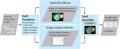 Nutil: A Pre- and Post-processing Toolbox for Histological Rodent Brain Section Images